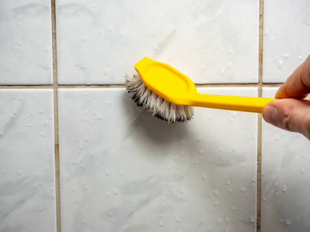 Best Local Mold Removal Service  in Woodson Terrace, MO