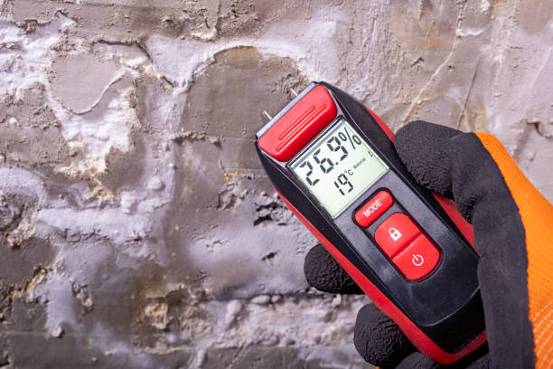Best Commercial Mold Removal  in Woodson Terrace, MO